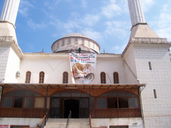 Geçmiş Kandiliniz Kutlu Olsun : HAYTAP Dev Afişleri Camilerde